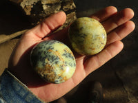 Polished Dendritic Yellow & Purple Opal Palm Stones  x 12 From Madagascar - Toprock Gemstones and Minerals 