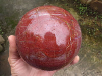 Polished Extra Large Petrified Red Podocarpus Wood Sphere & Rosewood Stand x 2 From Madagascar - TopRock