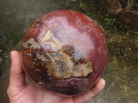 Polished Extra Large Petrified Red Podocarpus Wood Sphere & Rosewood Stand x 2 From Madagascar - TopRock