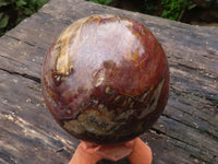 Polished Extra Large Petrified Red Podocarpus Wood Sphere & Rosewood Stand x 2 From Madagascar - TopRock