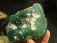 Polished One Side Polished Emerald Mtorolite Plates  x 7 From Zimbabwe