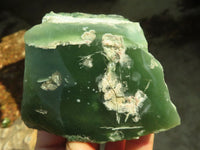 Polished One Side Polished Emerald Mtorolite Plates  x 7 From Zimbabwe