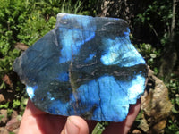 Polished One Side Polished Labradorite Slabs  x 6 From Madagascar - TopRock