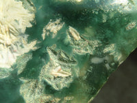 Polished One Side Polished Emerald Mtorolite Plates  x 7 From Zimbabwe