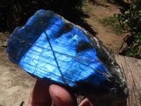 Polished One Side Polished Labradorite Slabs  x 6 From Madagascar - TopRock