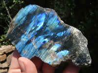 Polished One Side Polished Labradorite Slabs  x 6 From Madagascar - TopRock