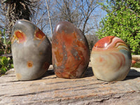 Polished Polychrome Jasper Standing Free Forms  x 3 From Madagascar