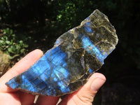 Polished One Side Polished Labradorite Slabs  x 6 From Madagascar - TopRock