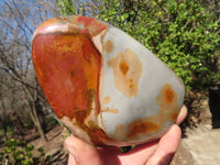 Polished Polychrome Jasper Standing Free Forms  x 3 From Madagascar