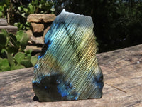 Polished One Side Polished Labradorite Slabs  x 6 From Madagascar - TopRock