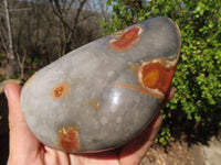 Polished Polychrome Jasper Standing Free Forms  x 3 From Madagascar