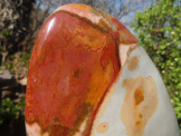 Polished Polychrome Jasper Standing Free Forms  x 3 From Madagascar