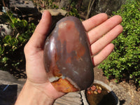 Polished Polychrome Jasper Standing Free Forms  x 3 From Madagascar