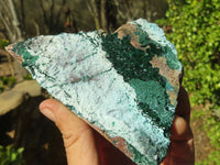 Natural Drusy Coated Chrysocolla & Malachite Dolomite Specimens x 4 From Likasi, Congo