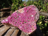 Natural Bright Pink Salrose Cobaltion Dolomite Specimens  x 3 From Congo - Toprock Gemstones and Minerals 