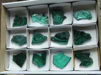 Polished Small Malachite Slices With Stunning Flower & Banding Patterns  x 12 From Congo - TopRock