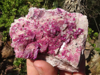 Natural Bright Pink Salrose Cobaltion Dolomite Specimens  x 3 From Congo - Toprock Gemstones and Minerals 