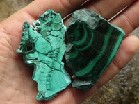 Polished Small Malachite Slices With Stunning Flower & Banding Patterns  x 12 From Congo - TopRock