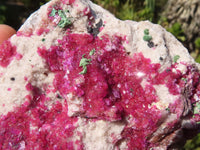 Natural Bright Pink Salrose Cobaltion Dolomite Specimens  x 3 From Congo - Toprock Gemstones and Minerals 