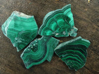 Polished Small Malachite Slices With Stunning Flower & Banding Patterns  x 12 From Congo - TopRock