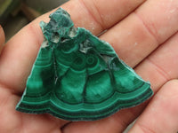 Polished Small Malachite Slices With Stunning Flower & Banding Patterns  x 12 From Congo - TopRock