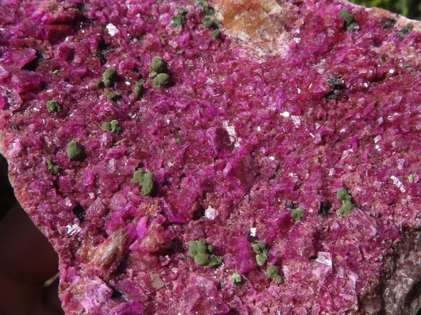 Natural Bright Pink Salrose Cobaltion Dolomite Specimens  x 3 From Congo - Toprock Gemstones and Minerals 