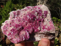 Natural Bright Pink Salrose Cobaltion Dolomite Specimens  x 3 From Congo - Toprock Gemstones and Minerals 