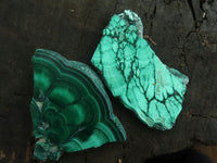 Polished Small Malachite Slices With Stunning Flower & Banding Patterns  x 12 From Congo - TopRock