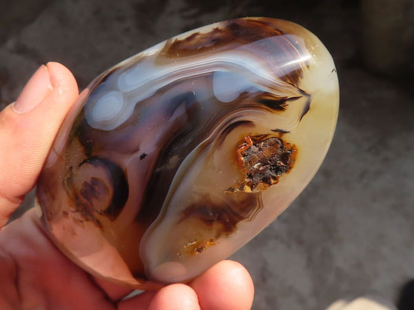 Polished Dendritic Agate Standing Free Forms  x 6 From Moralambo, Madagascar