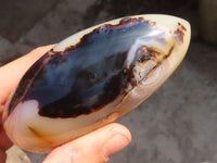 Polished Dendritic Agate Standing Free Forms  x 6 From Moralambo, Madagascar