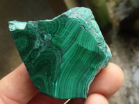 Polished Small Malachite Slices With Stunning Flower & Banding Patterns  x 12 From Congo - TopRock