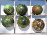 Polished Chrysoprase Spheres x 6 From Madagascar - TopRock