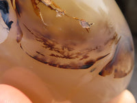 Polished Dendritic Agate Standing Free Forms  x 6 From Moralambo, Madagascar