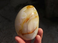 Polished Dendritic Agate Standing Free Forms  x 6 From Moralambo, Madagascar