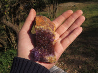 Natural Dark "Amethystos" Amethyst Clusters  x 12 From Kwaggafontein, South Africa - TopRock