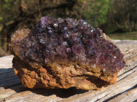 Natural Dark "Amethystos" Amethyst Clusters  x 12 From Kwaggafontein, South Africa - TopRock