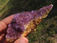 Natural Dark "Amethystos" Amethyst Clusters  x 12 From Kwaggafontein, South Africa - TopRock