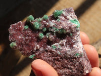 Natural Drusy Coated Ball Malachite On Dolomite Specimens  x 6 From Likasi, Congo