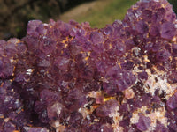 Natural Dark "Amethystos" Amethyst Clusters  x 12 From Kwaggafontein, South Africa - TopRock