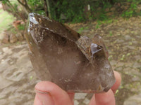 Polished Lovely Selection Of Smokey Window Quartz Crystals  x 3 From Madagascar - TopRock