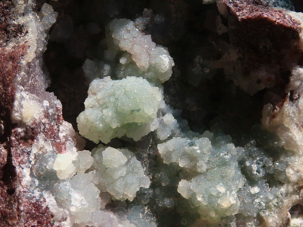 Natural Drusy Coated Ball Malachite On Dolomite Specimens  x 6 From Likasi, Congo