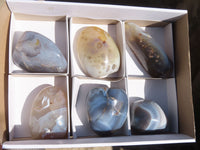 Polished Agate Standing Free Forms x 6 From West Coast, Madagascar