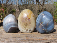 Polished Agate Standing Free Forms x 6 From West Coast, Madagascar