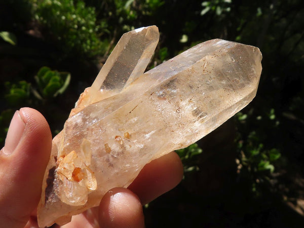 Natural Single Clear Quartz Crystals  x 16 From Solwezi, Zambia - TopRock