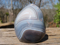 Polished Agate Standing Free Forms x 6 From West Coast, Madagascar