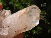 Natural Single Clear Quartz Crystals  x 16 From Solwezi, Zambia - TopRock