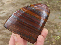 Polished Tiger Iron Banded / Muggle Jasper Standing Free Forms  x 3 From Northern Cape, South Africa - TopRock