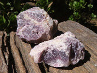 Natural Rough Purple Lepidolite Specimens  x 14 From Namibia - Toprock Gemstones and Minerals 