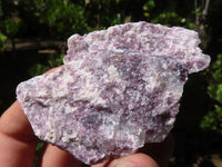 Natural Rough Purple Lepidolite Specimens  x 14 From Namibia - Toprock Gemstones and Minerals 