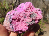 Natural Pink Salrose Cobaltion Dolomite Specimens  x 6 From Kakanda, Congo